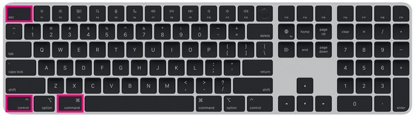 press Command + Control + Esc buttons