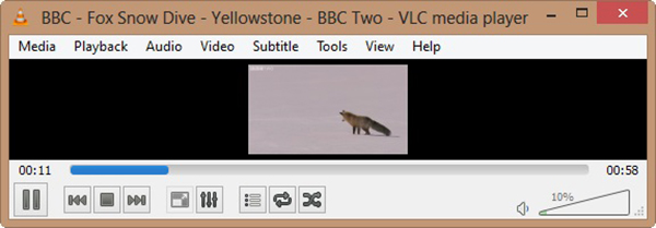 stream video