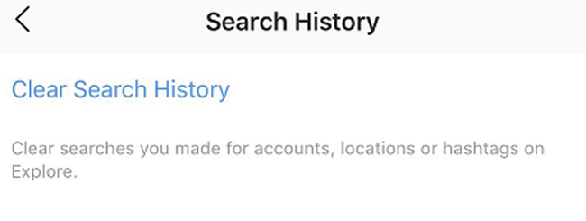 clear Instagram Search
