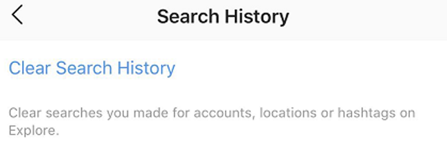 Clear Instagram Search