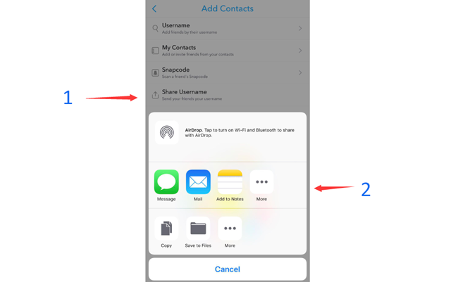 share snapchat username