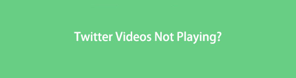 Learn to Resolve Twitter Videos Not Playing in the Most Effective Ways