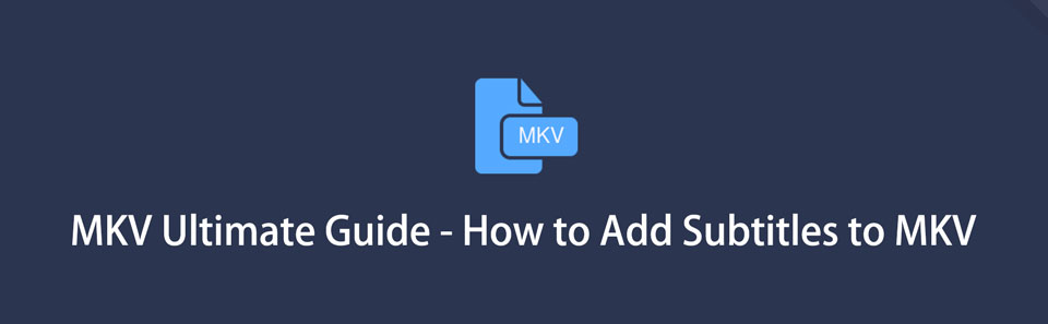 6 Ajouter des sous-titres à MKV : Le guide complet [Mise à jour]