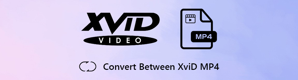 2 lette måder at konvertere Xvid til MP4 online / offline (trin for trin)