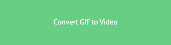 Erfahren Sie, wie Sie mit Hilfe der besten Tools GIF in Video konvertieren