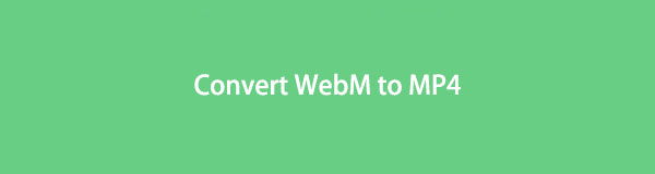 Persona a cargo Norma elevación Cómo convertir WebM a MP4 con herramientas confiables y convenientes
