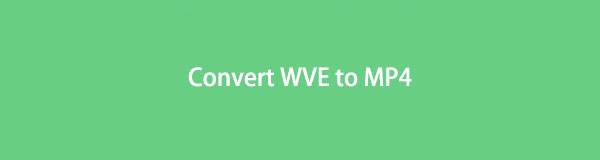 2 Best Methods to Convert WVE to MP4 on Windows and Mac