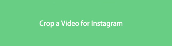 How to Crop a Video for Instagram Professionally and Easily