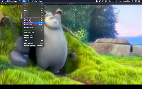 How to flip A Video via QuickTime on Mac