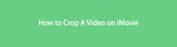 How to Crop a Video in iMovie with Proven Effective Methods [2022 Updated]