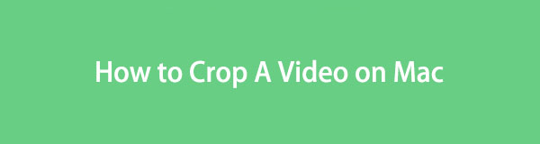 How to Crop Video on Mac Using The 4 Leading Techniques