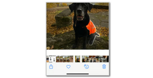 Tap Share Button