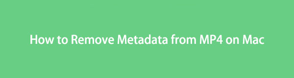 Cómo eliminar metadatos de MP4 en Mac [La mejor manera con alternativas]