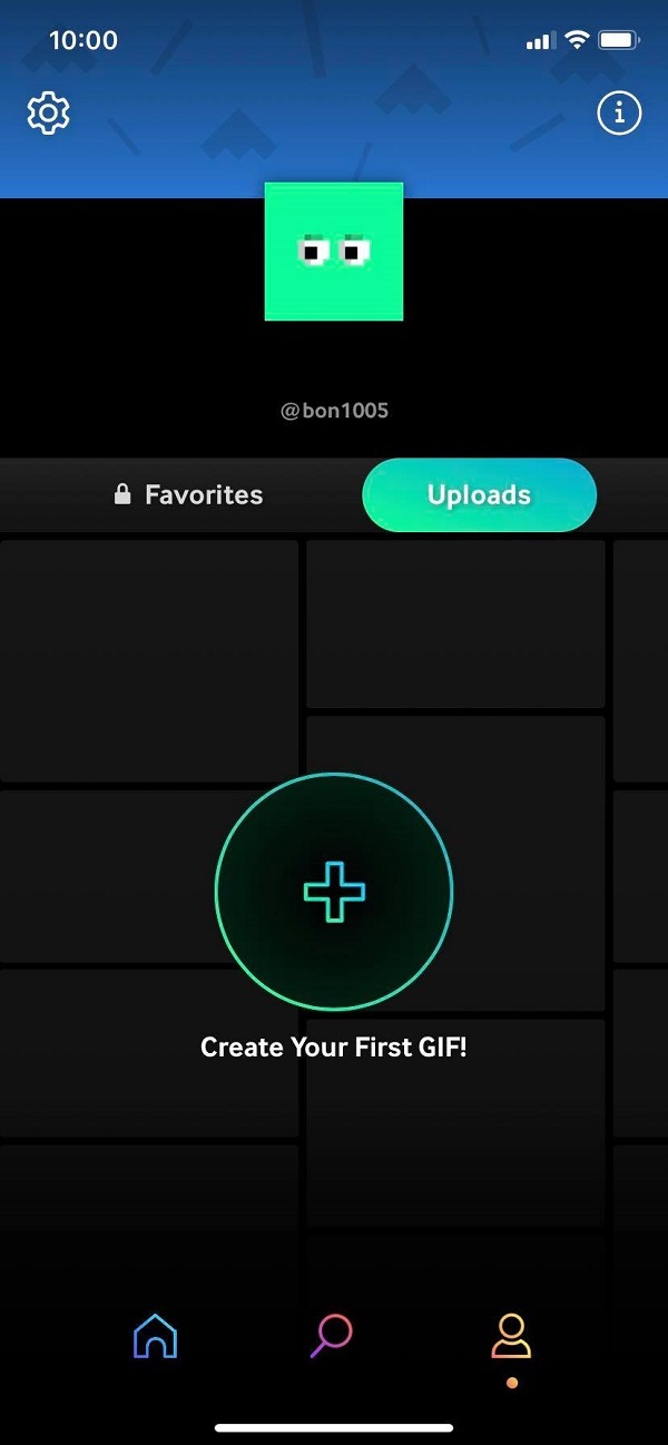 giphy interface