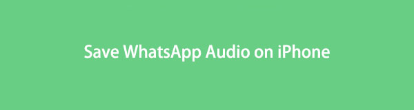 Maîtrisez comment enregistrer l'audio de WhatsApp sur iPhone avec les méthodes les plus simples