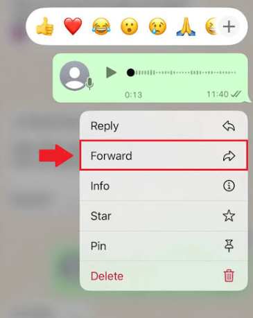 WhatsApp weiterleiten